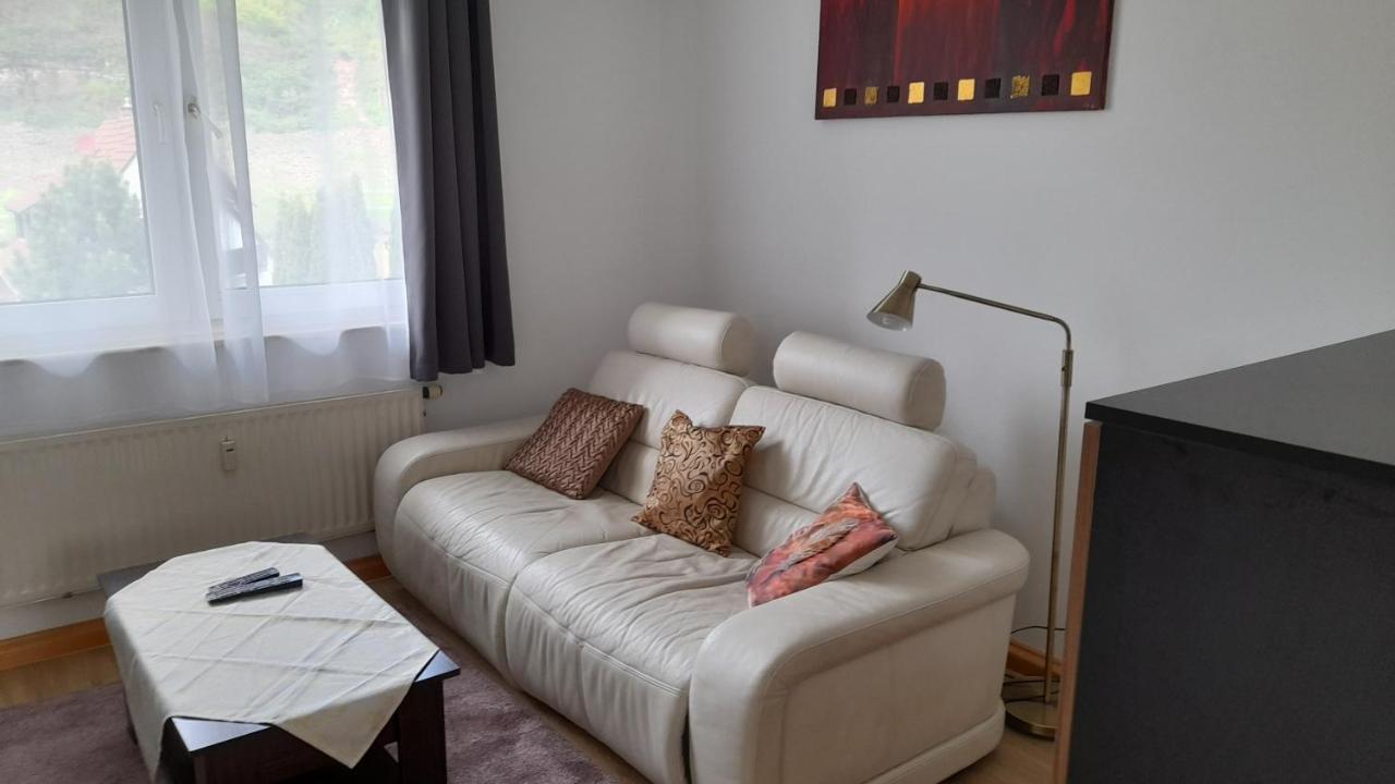 Ferienwohnung Christel Hirschhorn-Neckar Экстерьер фото